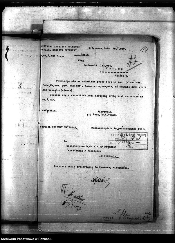 Obraz 18 z jednostki "Nosacizna - b. Kongresówka"