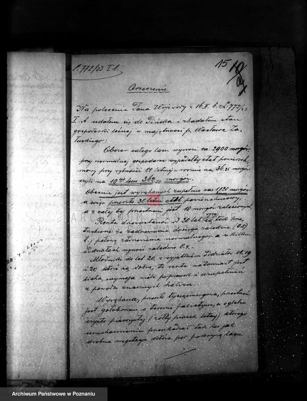 Obraz 20 z jednostki "Majętność leśna Pińsko powiat szubiński"