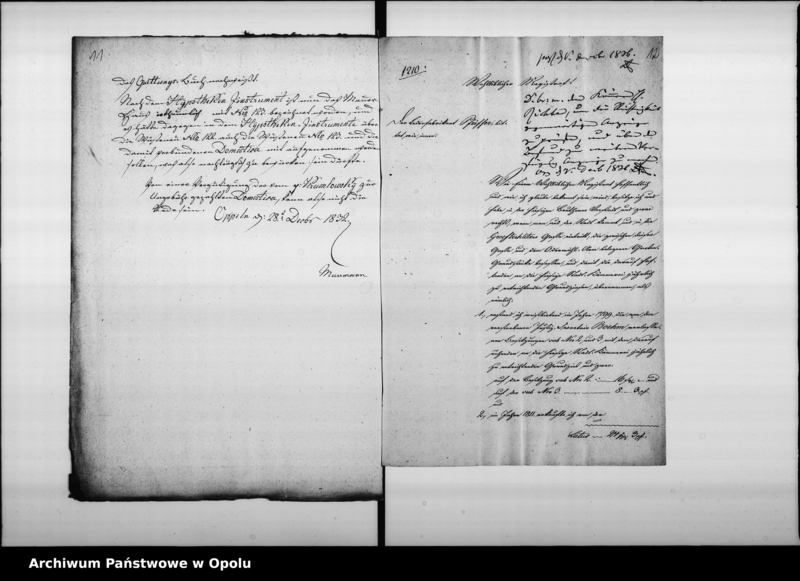 Obraz 12 z jednostki "Acta des Magistrats zu Oppeln betreffend Domesticalzinss"