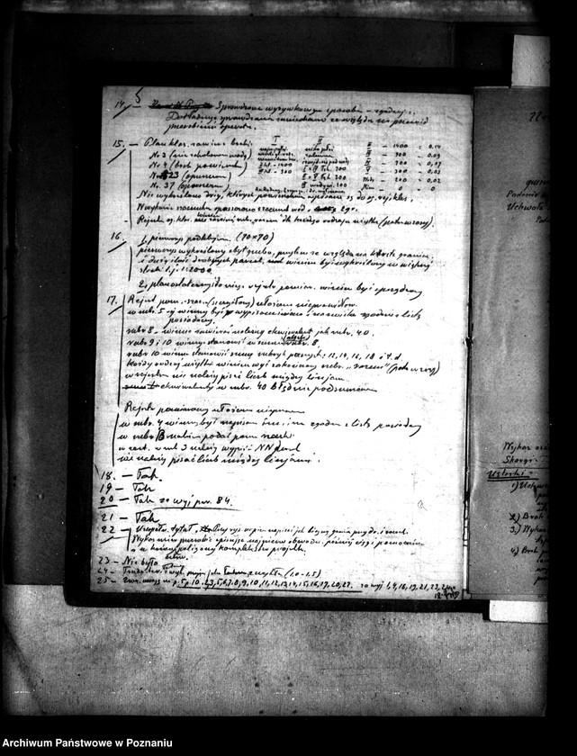 Obraz 10 z jednostki "Podział wspólnego pastwiska wsi Oleśnica powiatu konińskiego"