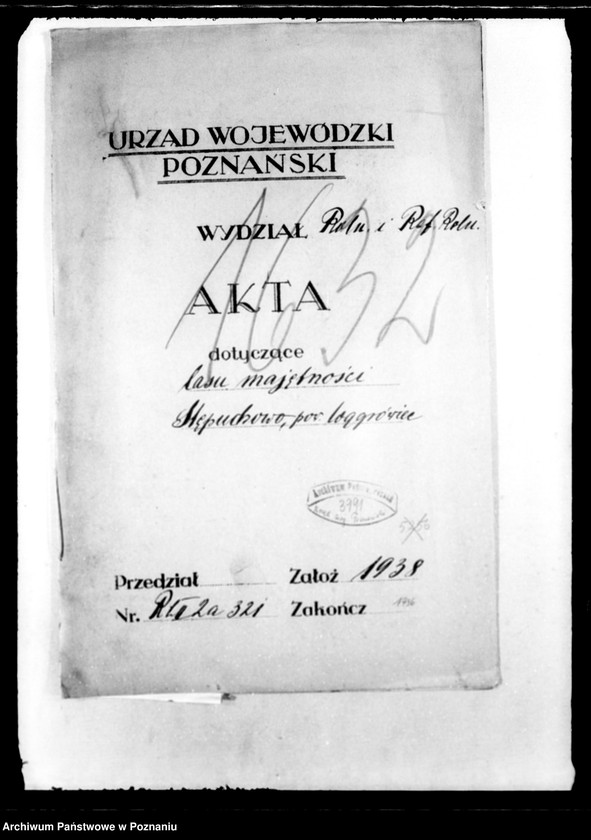 Obraz 4 z jednostki "Las majętności Stępuchowo powiat wągrowiecki"