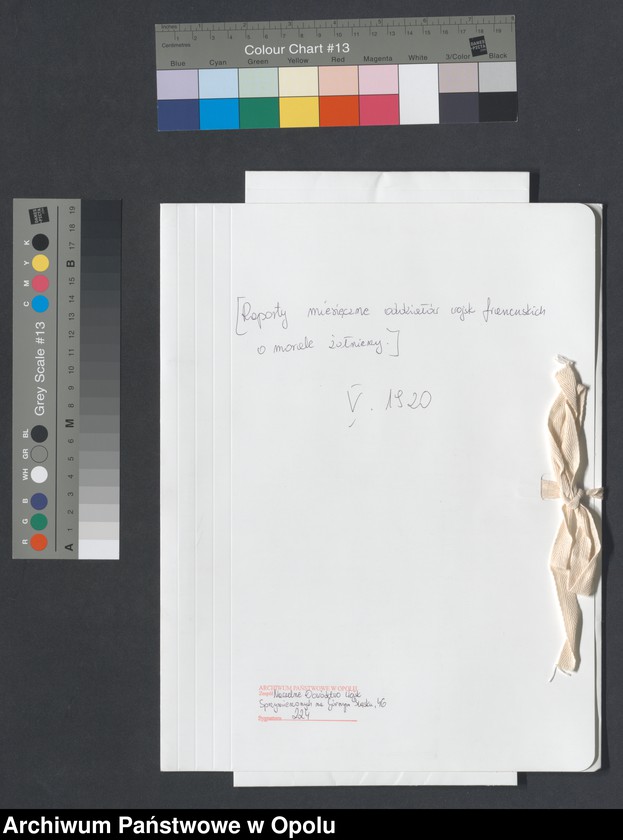 Obraz 2 z jednostki "/Raporty miesięczne oddziałów wojsk francuskich o morale żołnierzy/ V 1920"