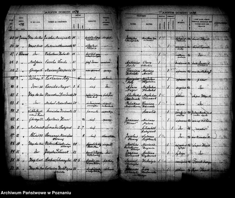 Obraz 3 z jednostki "Księga zgonów"