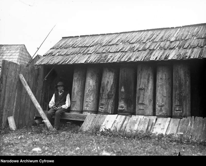 image.from.collection.number "Bartnictwo że Ho! Ho!111"