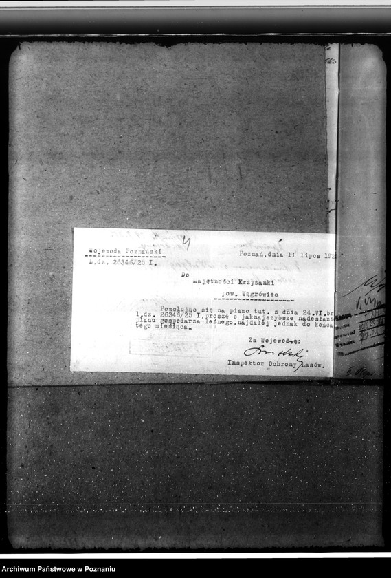 Obraz 8 z jednostki "Majętność leśna Krzyżanki w powiecie gostyńskim"