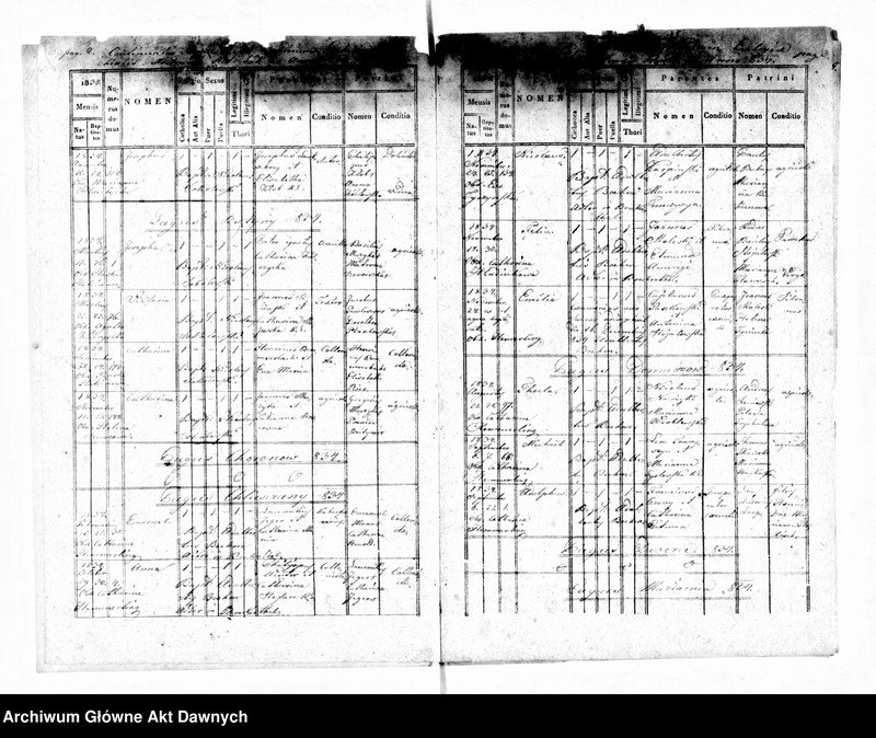 image.from.unit.number "Parafia: Mosty Wielkie. Dekanat: Bełz. Ekstrakty z księgi metrykalnej urodzeń, ślubów i zgonów dla miasta Mosty Wielkie i wsi: Butyny, Chlewczany*, Domaszów*, Przystań, Rekliniec, Dworce, Maziarnia**, Stanisłówka, Sałasze*, Strzemień, Wolica, Choronów*."
