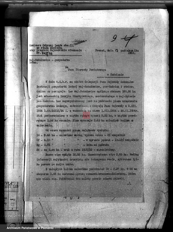 Obraz 13 z jednostki "Majętność leśna Sokołowice powiat kościański"