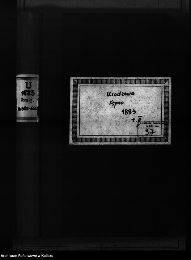 image.from.unit.number "[Księga urodzeń - tom 2]"