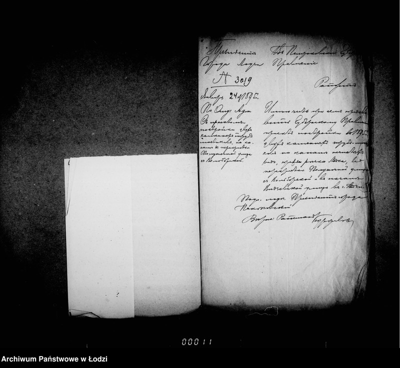 Obraz 9 z jednostki "O počinke mostov v 1895 godu"