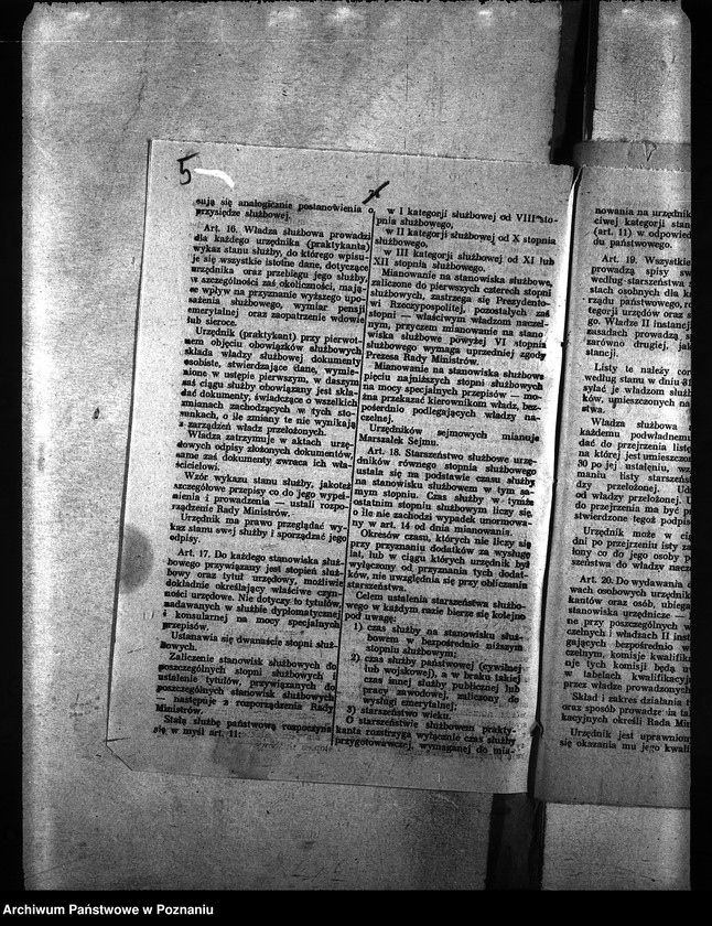 Obraz 9 z jednostki "Ubój zwierząt rzeźnych"