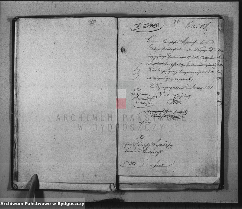image.from.unit.number "Duplicate der Civil Standes Bücher der Juden Gemeinde zu Trzemeszno"