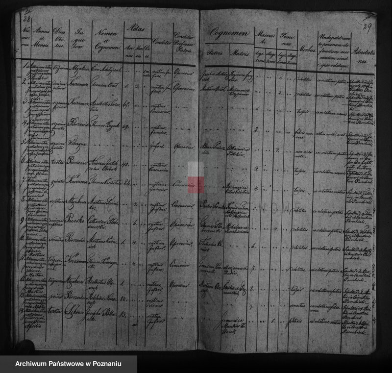image.from.unit.number "Duplicat baptisatorum, copulatorum, mortuorum"