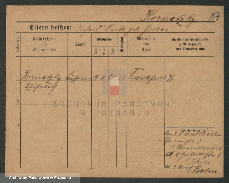 Obraz 17 z jednostki "Kornecki - Kortus"