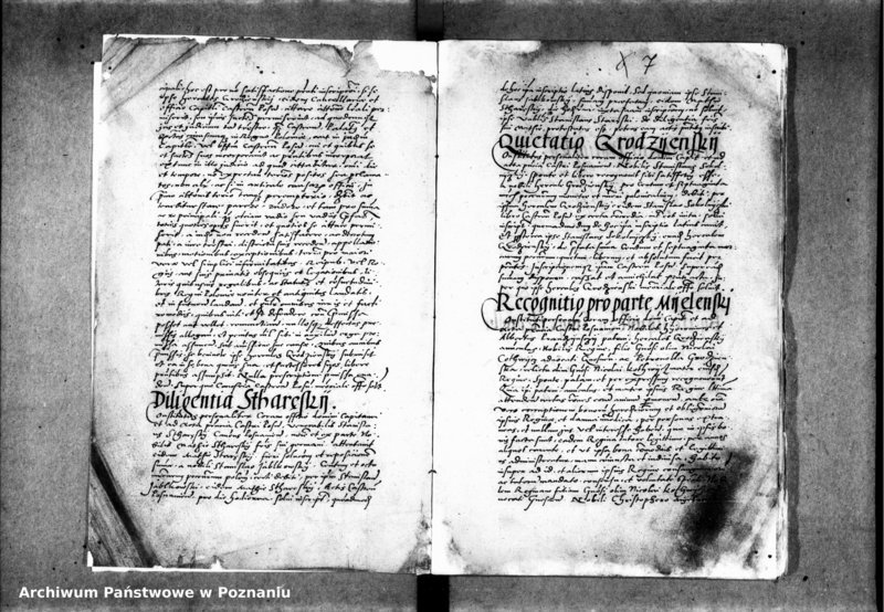 Obraz 12 z jednostki "Inscriptiones, relationes, decreta iudicii et officii [inducta]"