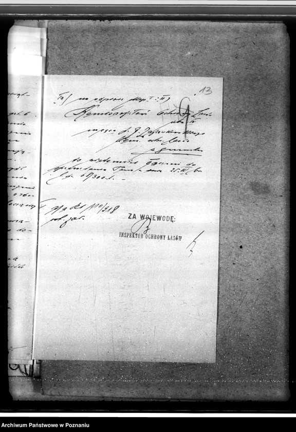 Obraz 17 z jednostki "Lasy majętności Wydawy w powiecie gostyńskim"