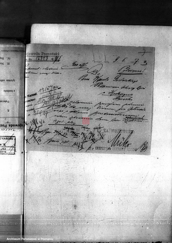 Obraz 7 z jednostki "Nadzór nad gospodarką w lasach majętności Oświęcim powiat kępiński"