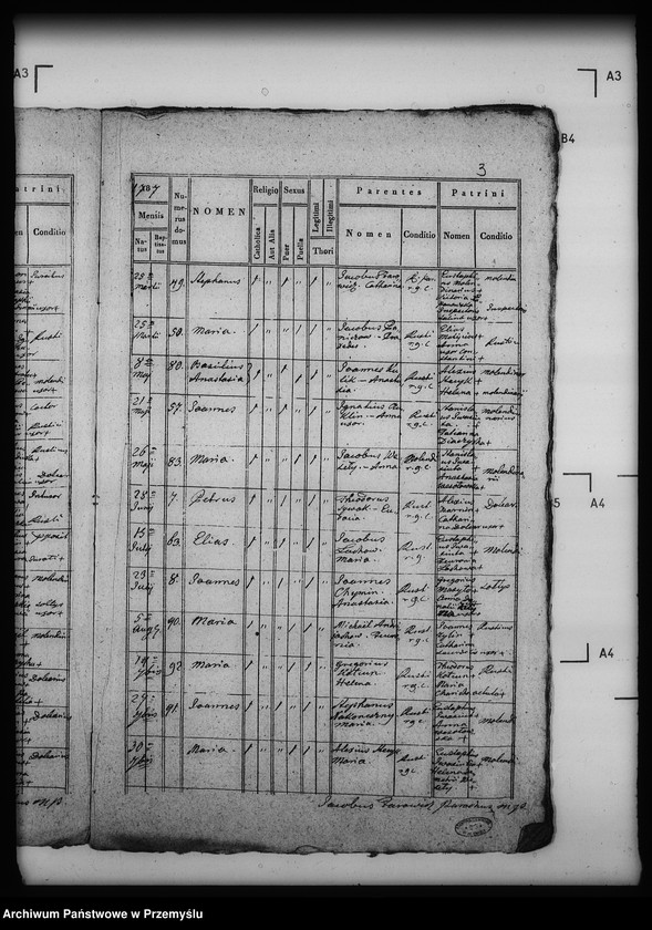 Obraz 7 z jednostki "[Kopie ksiąg metrykalnych parafii Modrycz z filią Solec (dekanat Drohobycz)]"