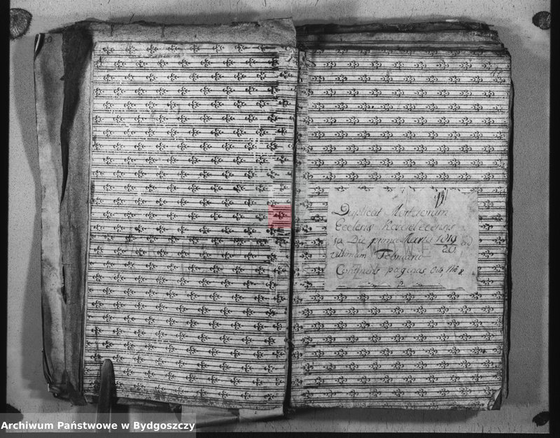 image.from.unit.number "Duplicate der Kirchen Bücher von Kościelec"