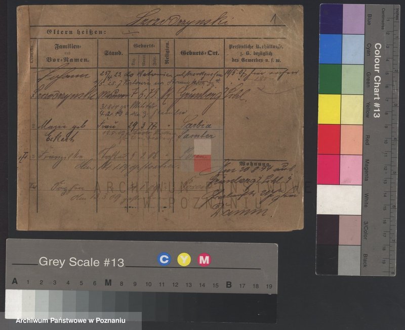 Obraz 5 z jednostki "Szczodrzyński - Szefer (żony i wdowy)"