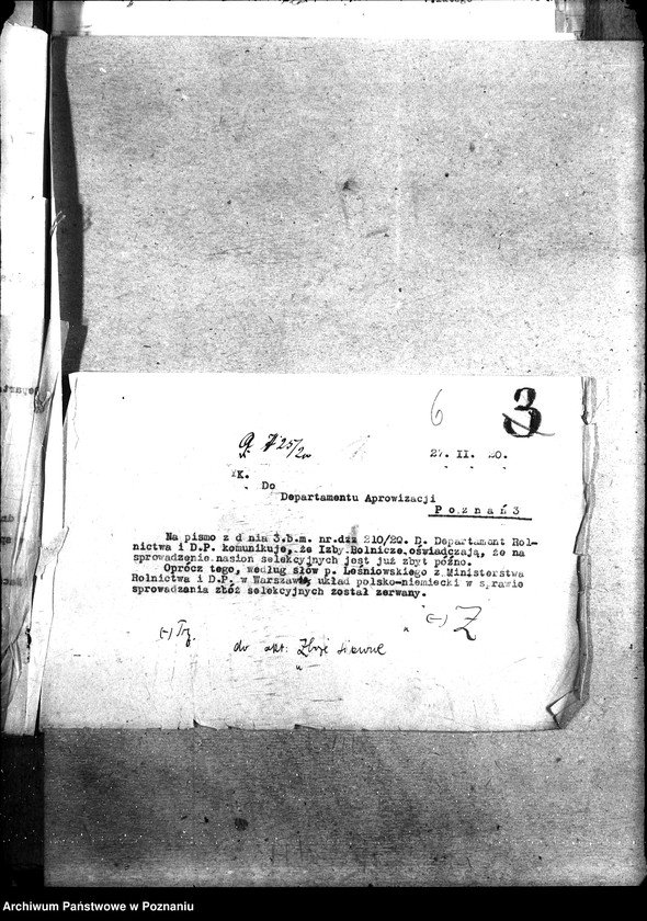 Obraz 11 z jednostki "Zboże siewne i sadzonki"