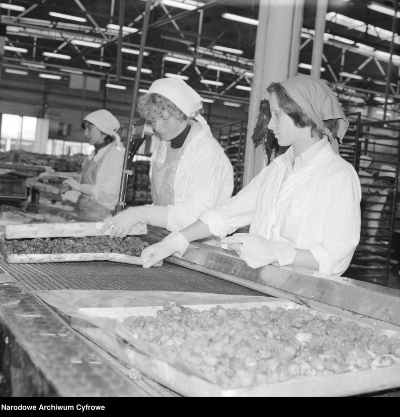 Obraz 11 z jednostki "Zakład produkcyjny Przedsiębiorstwa Handlu Zagranicznego "Hortex" w Płońsku"