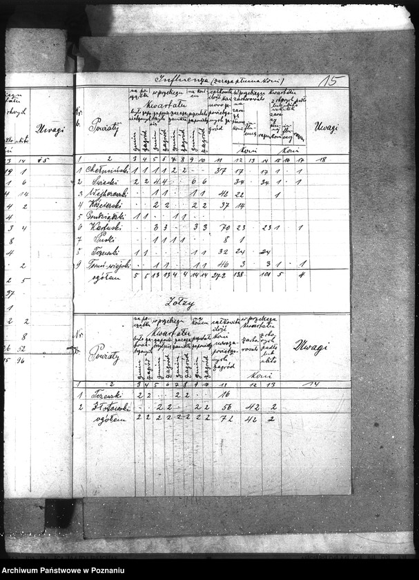 Obraz 19 z jednostki "Wykazy chorób zaraźliwych [kwartalne]"