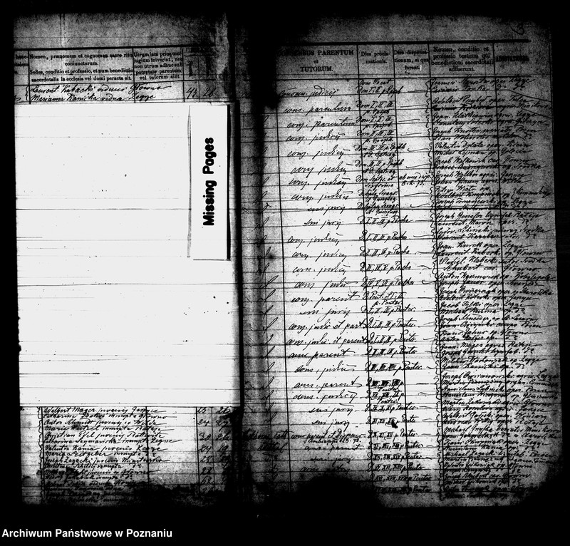 Obraz 3 z jednostki "Księga małżeństw"