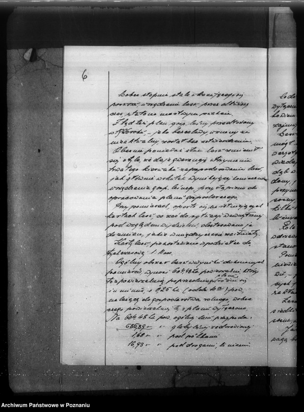 Obraz 10 z jednostki "Plan gospodarczy lasów majątku Stefanowo w powiecie nowotomyskim"