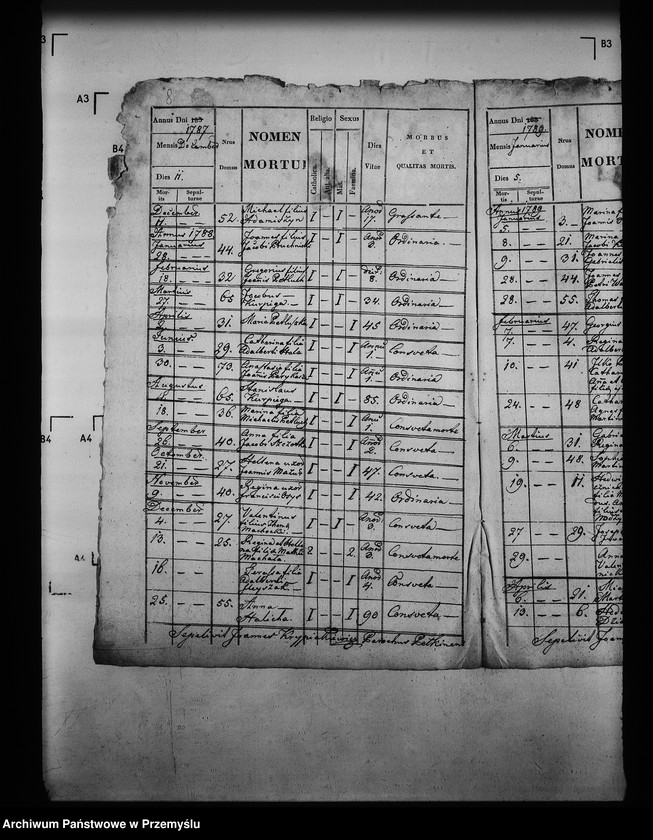 image.from.unit.number "[Kopie ksiąg metrykalnych parafii Pełkinie z filiami Wierzbna, Wólka Pełkińska (dekanat Jarosław)]"