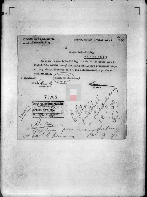 Obraz 19 z jednostki "Towarzystwo Ogródków Działkowych przy Parku 3 Maja w Ostrowie Wielkopolskim"