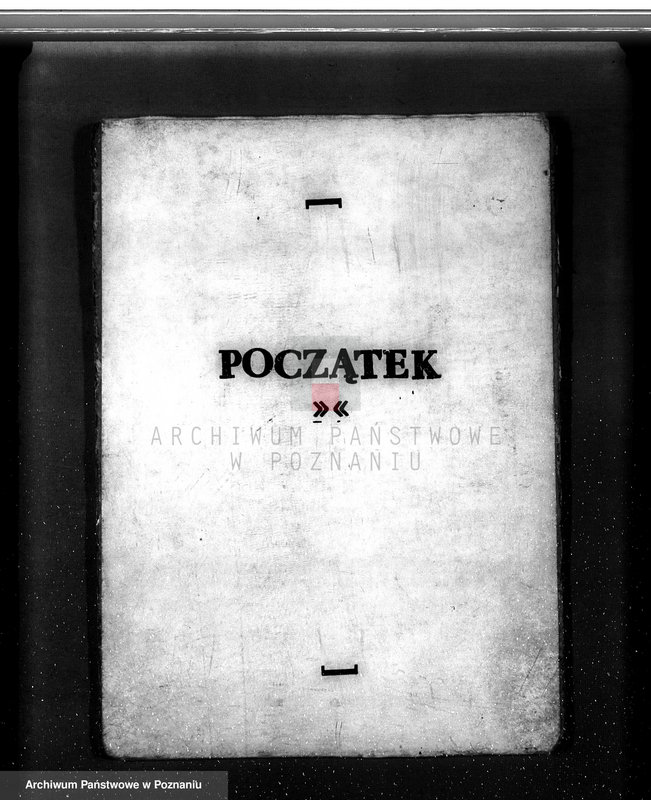 Obraz 3 z jednostki "Nadzór nad gospodarką w lasach majętności Torzeniec powiat kępiński"