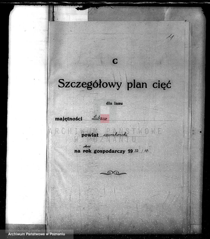 Obraz 15 z jednostki "Nadzór nad lasami/ majątku Lubasz powiatu czarnkowskiego"
