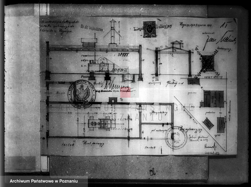 Obraz 19 z jednostki "Tartak parowy w Rogoźnie, pow. obornicki, J. Cieśnika nr woj. 5959"