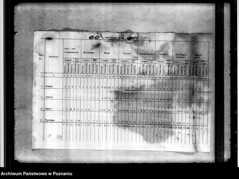 Obraz 16 z jednostki "Tierseuchenstand im Generalgouvernement"
