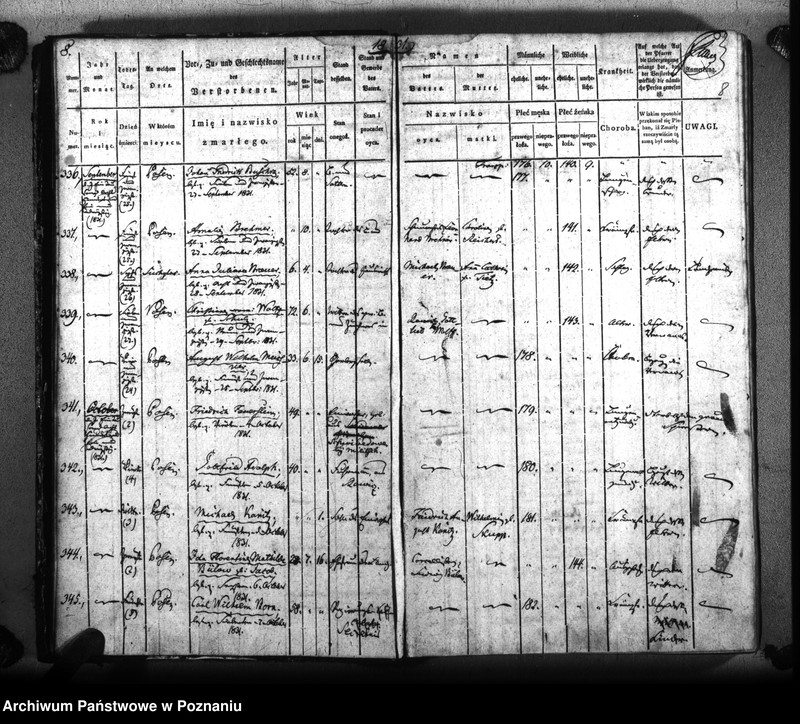 Obraz 11 z jednostki "Sterbenbuch"