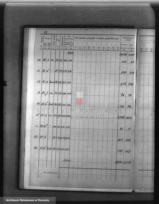 Obraz 15 z jednostki "Plan urządzenia gospodarstwa leśnego dla lasu majętności Wąsowo w powiecie nowotomyskim 1933-1943"