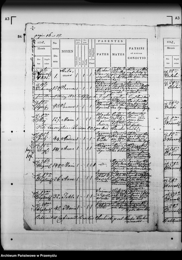 Obraz 6 z jednostki "[Kopie ksiąg metrykalnych parafii Krukienice z filią Ostrożec (dekanat Mościska)]"