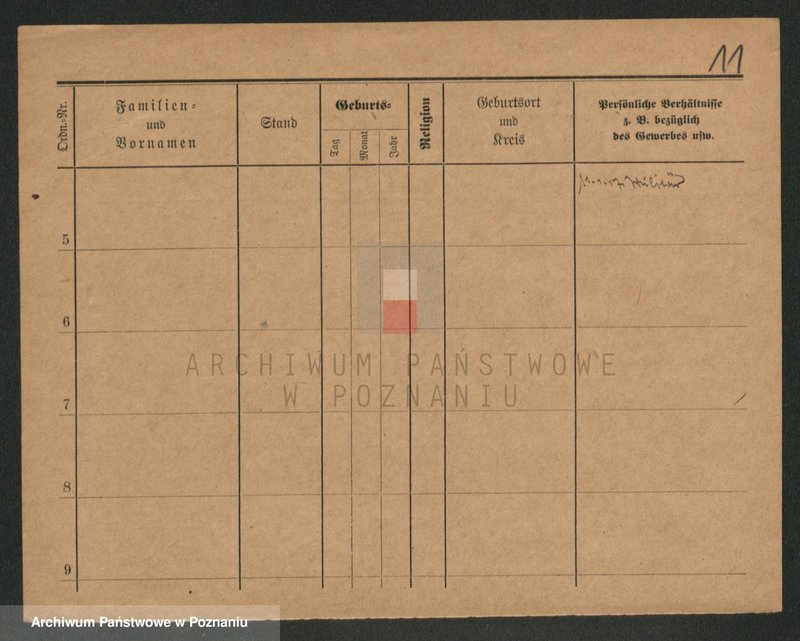 Obraz 11 z jednostki "Knop - Knytel"