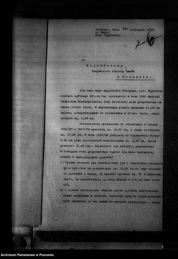 Obraz 11 z jednostki "Majętność leśna Stołężyn powiat wągrowiecki"