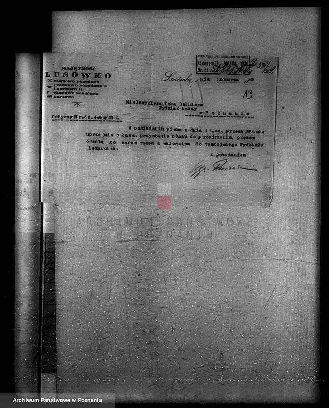 Obraz 17 z jednostki "Zarząd majętności Lusówko powiat poznański/ nadzór nad gospodarką leśną/"