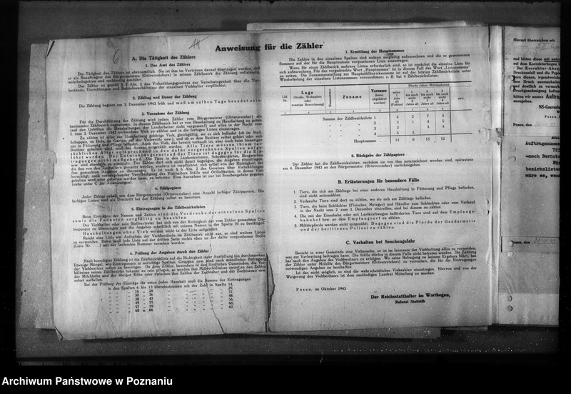 Obraz 11 z jednostki "Korespondencja, formularze i zestawienia wyników w zwiazku ze spisem bydła"