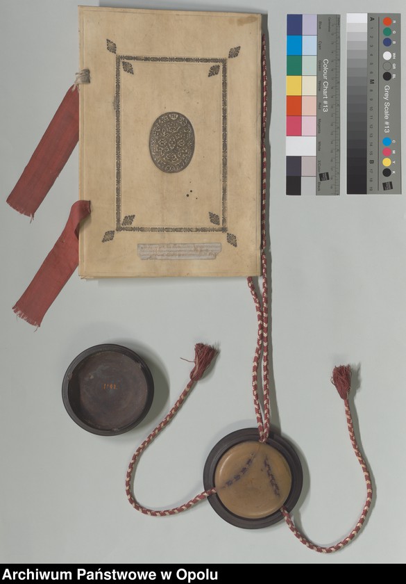 Obraz 12 z kolekcji "Futerał na dokumenty111"