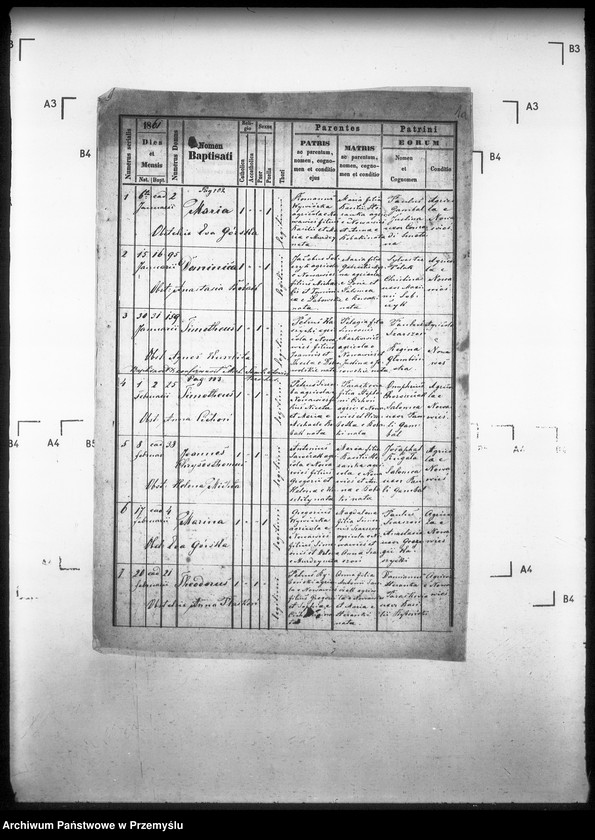 Obraz 6 z jednostki "[Kopie ksiąg metrykalnych parafii Nowa Wieś z filią Łosie (dekanat Muszyna)]"