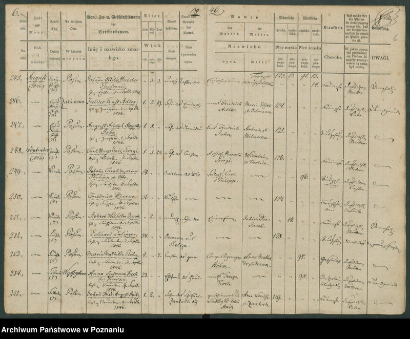 Obraz 7 z jednostki "Sterbenbuch"