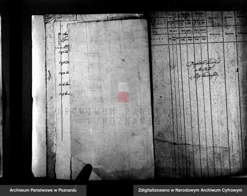 image.from.unit.number "Duplikat aktów urodzeń, małżeństw i zgonów"