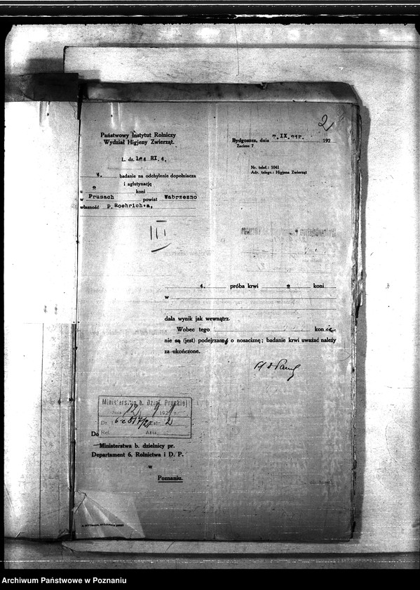 Obraz 6 z jednostki "Nosacizna - Wąbrzeźno"