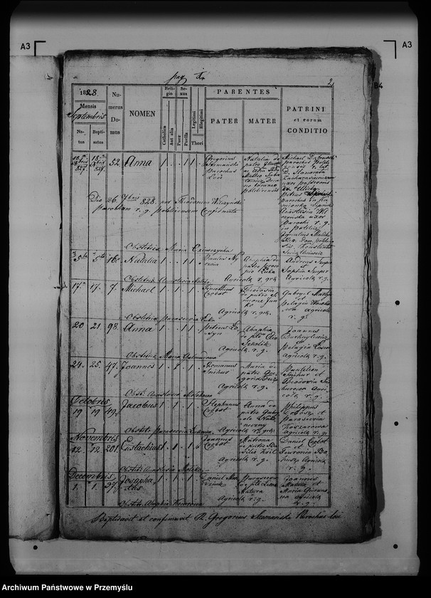Obraz 6 z jednostki "[Kopie ksiąg metrykalnych parafii Dziewięcierz (dekanat Rawa Ruska)]"