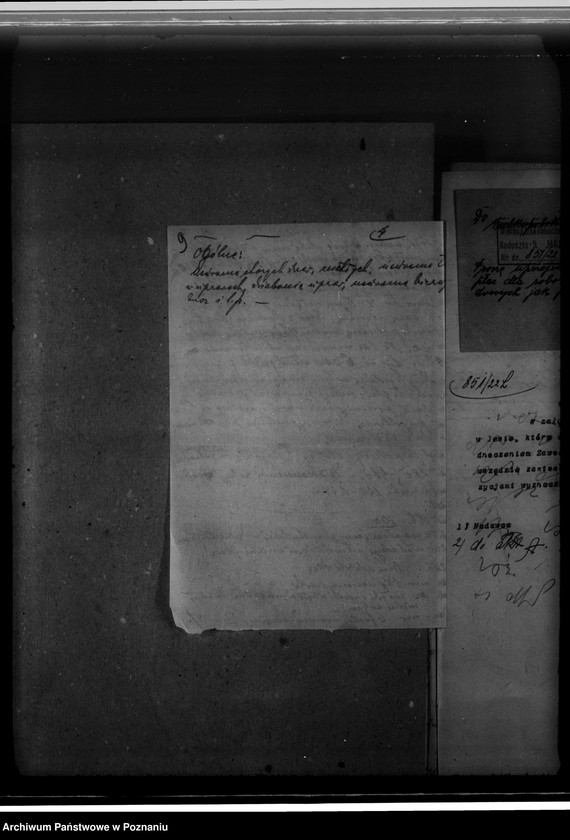 Obraz 13 z jednostki "Zarząd majętności /leśnej/ Szreniawa powiat poznański"