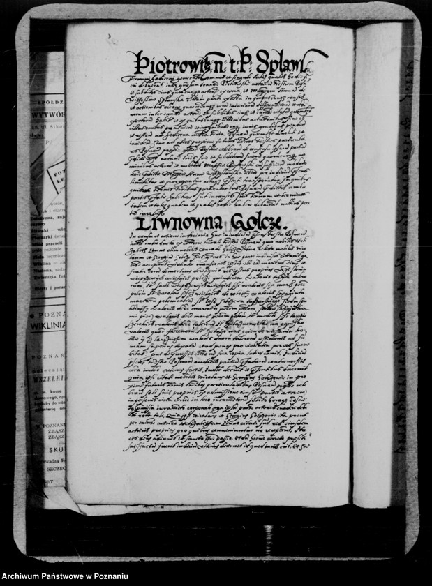 Obraz 11 z jednostki "Inscriptiones, relationes, decreta [inducta]"