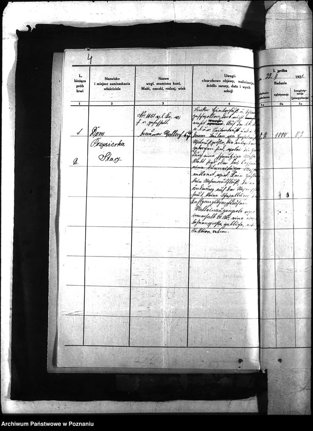 Obraz 8 z jednostki "Nosacizna - Śmigiel"